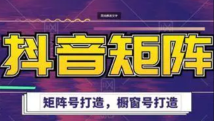 高鹏圈·抖音带货矩阵项目,起号成功率100%,出单率100%!-禅指哥赚钱项目资源库