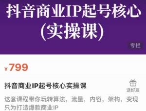 抖音商业IP起号核心实操课,带你玩转算法,流量,内容,架构,变现-禅指哥赚钱项目资源库