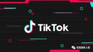 海外版抖音 疯人院·TikTok短视频掘金 零基础教学-禅指哥赚钱项目资源库