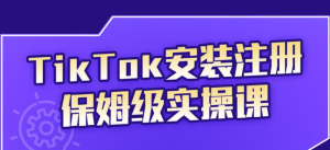 海外版抖音变现,疯人院TikTok安装注册保姆级变现实操课-禅指哥赚钱项目资源库