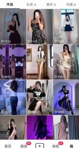 抖音卖模特美女私房写真, 简单粗暴来钱快,月入2万+实操视频(含话术+素材)-禅指哥赚钱项目资源库