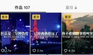 抖音情感语录励志套模板制作,搬运技巧实操,快速剪辑。-禅指哥赚钱项目资源库