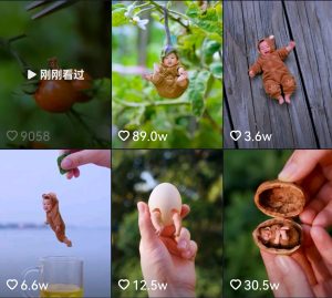 抖音百万粉丝特效视频教程 视频素材辅导班-禅指哥赚钱项目资源库