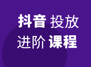 千川进阶课:千川投放细节实操,从入门到精通一站式解决-禅指哥赚钱项目资源库