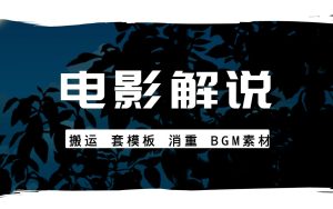 电影解说搬运，套模板 多层消重素材  内含模板素材BGM-禅指哥赚钱项目资源库