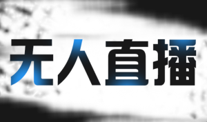 无人直播超市图书及女装清仓,细节实操落地课程(附素材+工具箱)-禅指哥赚钱项目资源库