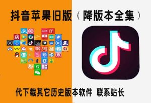 抖音苹果/安卓历史旧版本安装包下载(IOS降版本大全集合)-禅指哥赚钱项目资源库