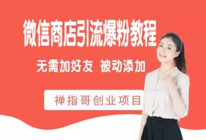 微信商店无限引流爆粉教程 无需添加好友 被动添加-禅指哥赚钱项目资源库