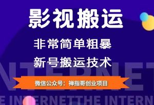 【适用抖音快手】影视搬运 非常简单粗暴的搬运方法 新号搬运技术-禅指哥赚钱项目资源库