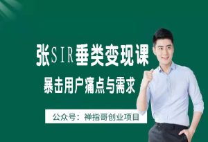 张sir垂类变现课 暴击用户痛点与需求 刺激用户购买您的产品-禅指哥赚钱项目资源库