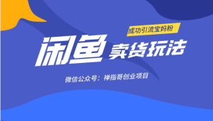 闲鱼卖货玩法:闲鱼成功引流宝妈粉+ 如何卖货赚钱月入3W+-禅指哥赚钱项目资源库