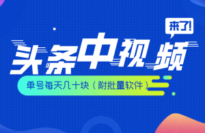 头条中视频搬运最新玩法 单号每天几十块(附批量软件)-禅指哥赚钱项目资源库