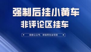 2022年抖音强制后挂购物车技术 非评论区挂车 价值299元-禅指哥赚钱项目资源库