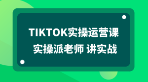 TikTok实操运营课 实战派老师 讲实战 适合零基础Tiktok新人-禅指哥赚钱项目资源库