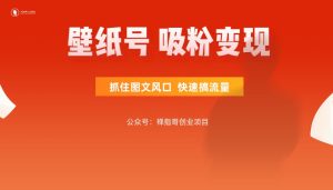 闪闪壁纸号  抓住图文风口  快速搞流量 吸粉变现-禅指哥赚钱项目资源库