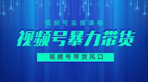 微信视频号带货风口 堪比19年抖音带货 在风口猪都会飞-禅指哥赚钱项目资源库