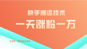 快手搬运技术 号称一天涨粉一万  简简单单-禅指哥赚钱项目资源库