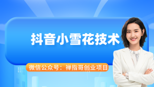抖音直播间开通小雪花技术 ❄️雪花标志功能开通技术-禅指哥赚钱项目资源库