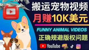 搬运TIKTOK视频到YouTube(油管),并进行二次创作,月赚1万美刀+-禅指哥赚钱项目资源库