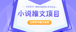 小说推文变现训练营:引流技巧+爆款实操+矩阵号玩法 百万播放秘笈(包含小说推文授权)-禅指哥赚钱项目资源库