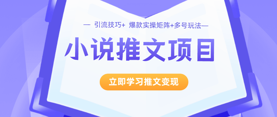 小说推文变现训练营：引流技巧+爆款实操+矩阵号玩法 百万播放秘笈（包含小说推文授权）