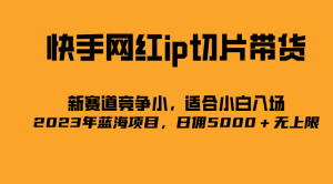 2023爆火的快手网红二驴的独家授权 IP切片,日入佣金5000+的蓝海项目-禅指哥赚钱项目资源库