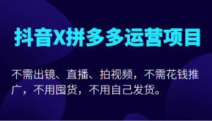 抖音X拼多多运营项目,不需出镜、直播、拍视频,不需花钱推广,不用囤货不用自己发货-禅指哥赚钱项目资源库