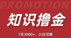 抖音知识撸金项目简单粗暴日入1000+，小白可做（教程+资料）-禅指哥赚钱项目资源库