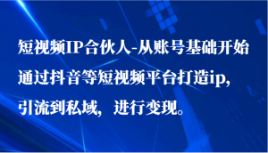 短视频IP合伙人-从账号基础开始通过抖音等短视频平台打造ip,引流到私域,进行变现。-禅指哥赚钱项目资源库