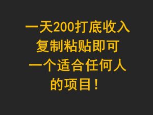 一天200打底收入，复制粘贴即可，一个适合任何人的项目！-禅指哥赚钱项目资源库